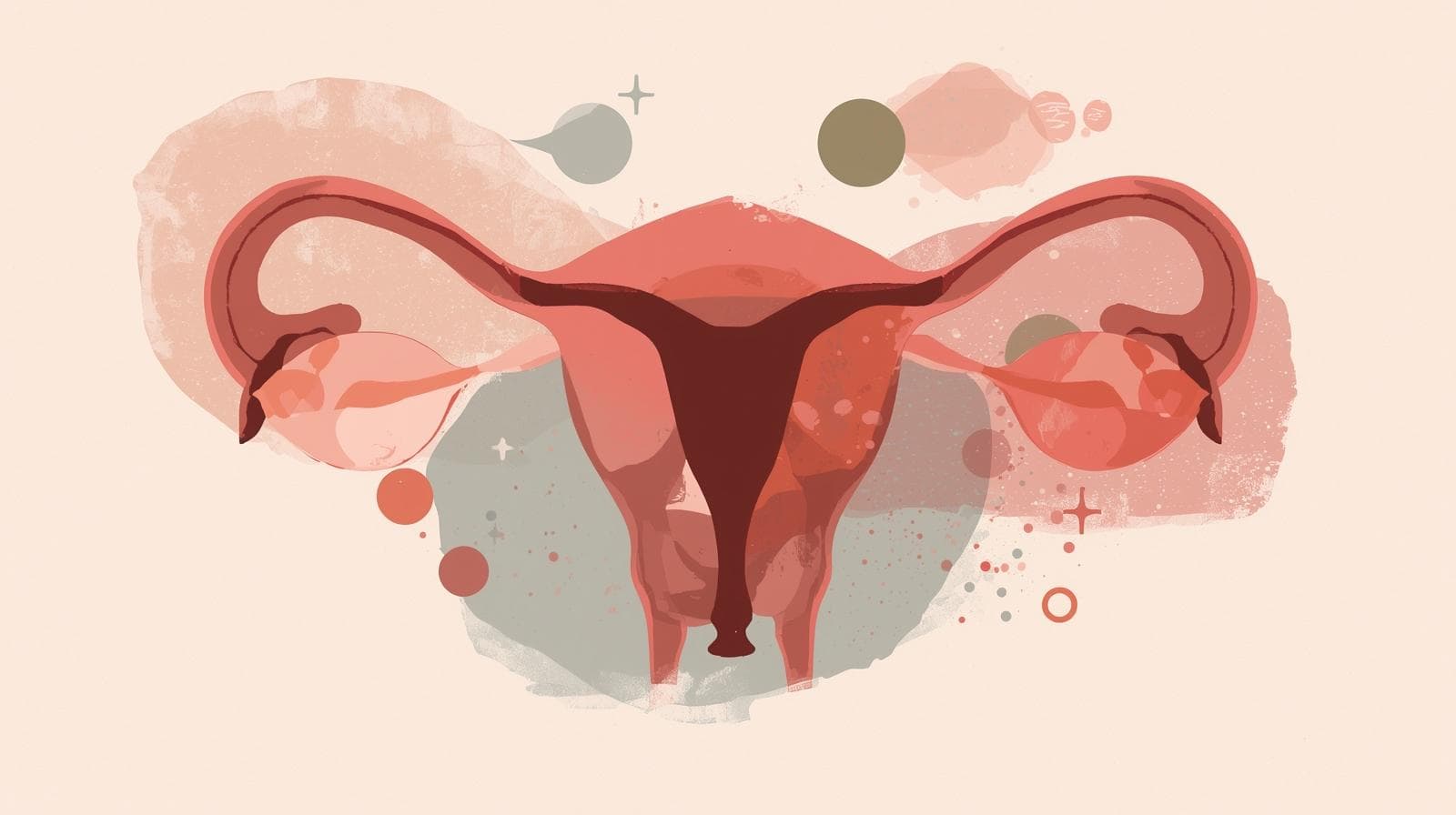 Yumurtalık Kanseri (Over)